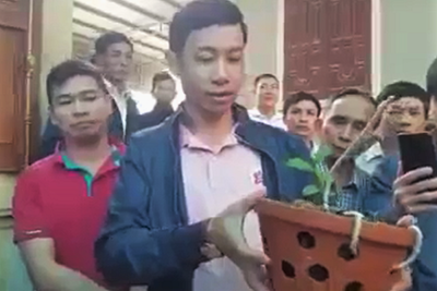 Ngành thuế vào cuộc vụ giao dịch “lan đột biến” tiền tỷ tại tỉnh Nghệ An