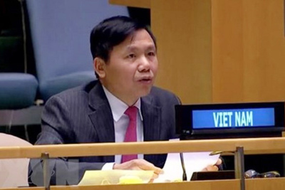 Việt Nam ủng hộ Chiến lược hỗ trợ khu vực Các hồ Lớn châu Phi