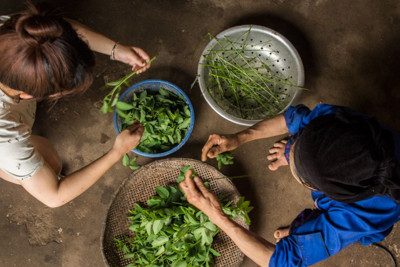 Khách nước ngoài yêu ngôi làng hẻo lánh của Việt Nam