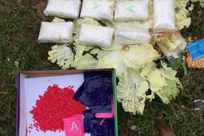 Quảng Trị: Phát hiện 16.000 viên ma túy tổng hợp lẫn trong rau, mì tôm bên lề đường