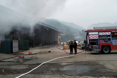 Quảng Ninh: Hỏa hoạn tại kho kiểm hóa cửa khẩu Bắc Phong Sinh