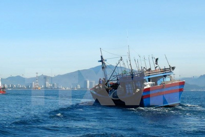 Đã xác định được vị trí tàu chìm trên vùng biển Bà Rịa - Vũng Tàu