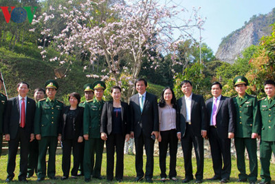 Chủ tịch Quốc hội gợi ý Điện Biên làm du lịch từ cây hoa ban