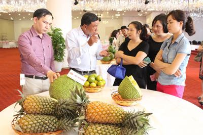Hậu Giang mời gọi DN Hà Nội đầu tư vào nông nghiệp
