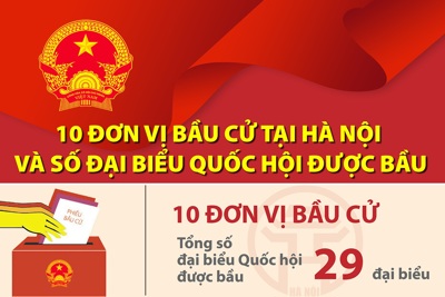 [Infographic] 10 đơn vị bầu cử tại Hà Nội và số đại biểu Quốc hội được bầu