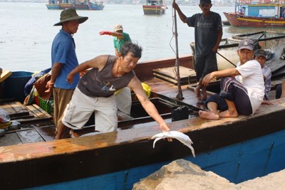 Thừa Thiên - Huế bồi thường thiệt hại đợt 3 sự cố môi trường biển