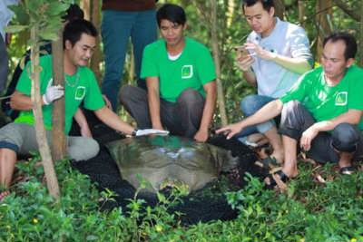 Cận cảnh cá thể rùa Hoàn Kiếm bắt được tại hồ Đồng Mô