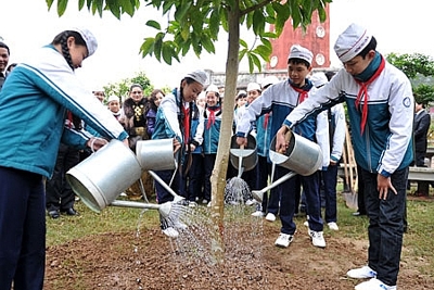 Năm 2021, Hà Nội phấn đấu trồng mới khoảng 200.000 - 250.000 cây bóng mát