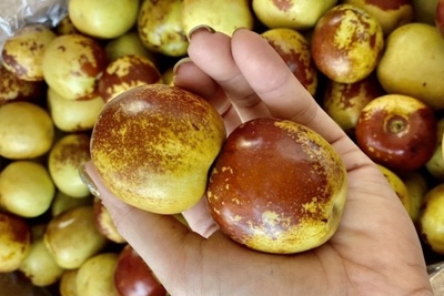 TP Hồ Chí Minh: Đắt gấp đôi táo Mỹ, táo tàu tươi vẫn “cháy hàng”