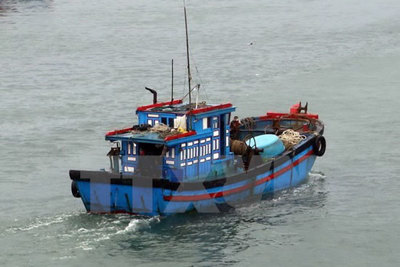 Đề nghị cho 29 tàu cá vào tránh bão tại Philippines và Indonesia