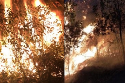 Hà Nội: Cháy lớn khu rừng ở Sóc Sơn, hàng trăm người nỗ lực dập lửa