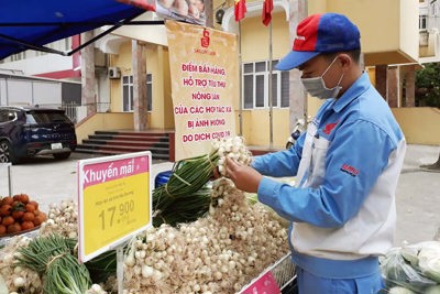 Co.opmart hỗ trợ doanh nghiệp nông sản Hà Nội tiêu thụ 30 tấn rau/tuần