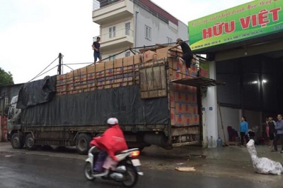 Miến làng So tất bật vào vụ Tết