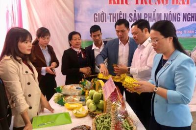 Khẳng định vai trò của nông dân Hà Nội trong xây dựng nông thôn mới