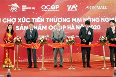 Khai mạc Hội chợ Xúc tiến thương mại nông nghiệp, sản phẩm OCOP Hà Nội 2020
