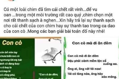 Luật sư nói về vụ nữ sinh ở An Giang tự tử phản đối nhà trường