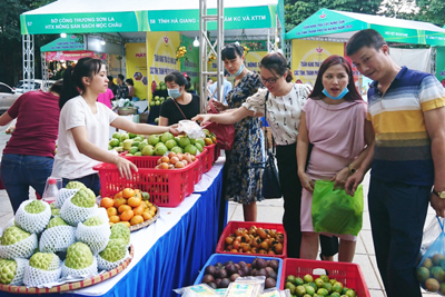 Tuần hàng trái cây và nông sản thúc đẩy tiêu dùng hàng Việt