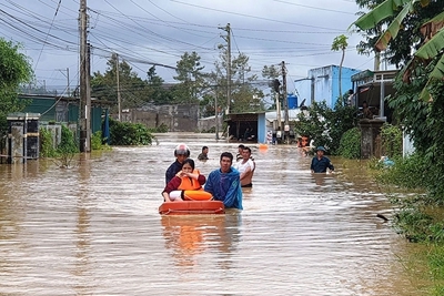 Ứng phó bão số 13: Đã sơ tán hơn 320.000 người dân đến nơi an toàn, chủ động cắt điện 283 xã