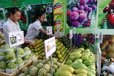 Triển khai đề án quản lý kinh doanh trái cây tại quận Hà Đông: Vẫn nhiều rào cản