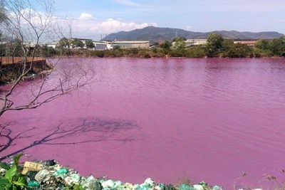 Nước hồ điều tiết lũ ở Bà Rịa - Vũng Tàu đổi màu tím
