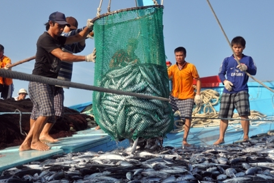 Tháng 6 hoàn thành bồi thường, hỗ trợ thiệt hại cho người dân vùng biển