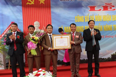 Phú Xuyên có 11 xã đạt chuẩn nông thôn mới