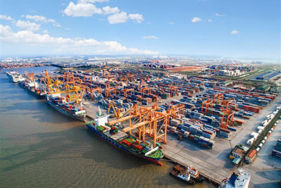 Phê duyệt chủ trương xây dựng 2 bến container tại cảng Lạch Huyện, Hải Phòng