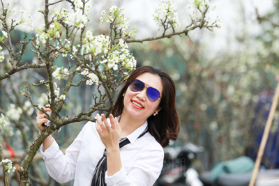 [Ảnh] Hoa lê trắng tinh khôi có giá tiền triệu khoe sắc tại Hà Nội