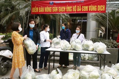 Tổng công ty Du lịch Hà Nội tổ chức 5 điểm tiêu thụ nông sản Hải Dương