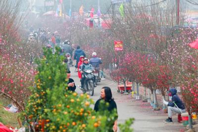 Hà Nội: Cán bộ, công chức, viên chức, người lao động được nghỉ 7 ngày dịp Tết Nguyên đán Tân Sửu 2021