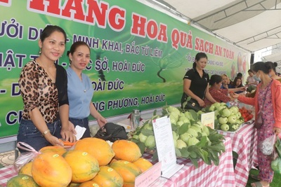 Cán bộ, hội viên phụ nữ Hà Nội: Chung tay chống thực phẩm bẩn