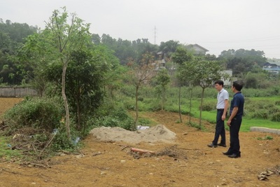 Xã Hòa Thạch, huyện Quốc Oai: Chậm xử lý vụ trồng cây trên đường chờ đòi bồi thường