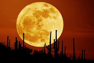 Quan sát hiện tượng mặt trăng đến gần trái đất nhất trong 68 năm qua