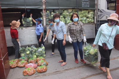 Hội Nông dân TP Hà Nội hỗ trợ nông dân Hải Dương, Mê Linh tiêu thụ gần 40 tấn rau, củ, quả