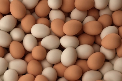 Giá trứng gia cầm giảm vì tiêu thụ chậm