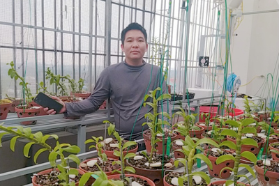 Hành trình gây dựng vườn lan của chàng trai 8X Vũ Hoàng Anh giữa Hà Nội
