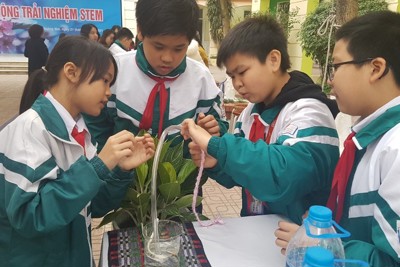 Sôi nổi Ngày hội trải nghiệm hoạt động STEM của học sinh quận Hoàng Mai