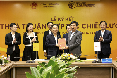 T&T Group hợp tác chiến lược với Cà Mau và Lào Cai