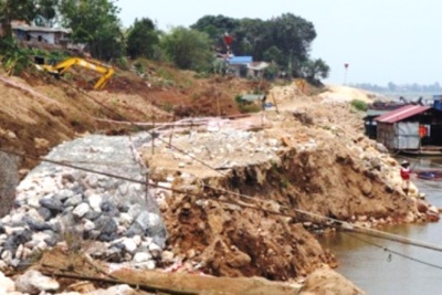 Tại huyện Ba Vì (Hà Nội): Bờ hữu sông Hồng đang sạt lở nghiêm trọng