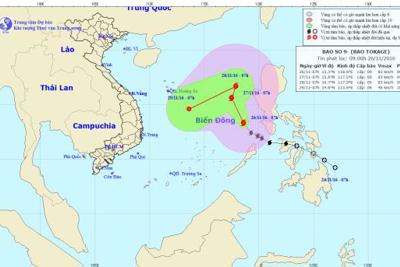Bão số 9 giật mạnh cấp 11, tiến vào đất liền