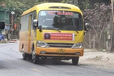 Xe khách tuyến cố định ở Nghệ An dừng chạy để phản đối ''xe dù'' đã hoạt động trở lại