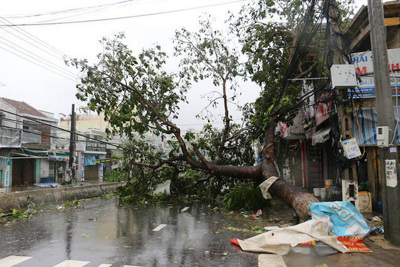 Gia tăng thiệt hại do bão số 12: 4 người chết và mất tích, gần 400 nhà dân hư hỏng