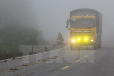 Cảnh báo Bắc Bộ và Bắc Trung Bộ có sương mù vào sáng sớm