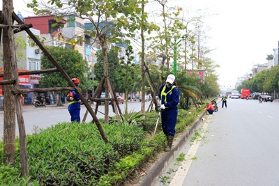 Hà Nội: Chỉnh trang hệ thống cây xanh, thảm cỏ trên nhiều tuyến đường