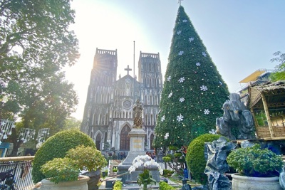 [Ảnh] Cận cảnh những cây thông Noel “khổng lồ” tại Hà Nội