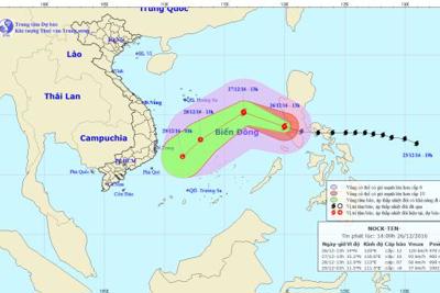 Bão số 10 giật cấp 12 hướng vào miền Trung