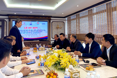Tăng cường hợp tác giao thương, đào tạo nhân lực, chuyển giao công nghệ giữa Việt Nam và Hàn Quốc