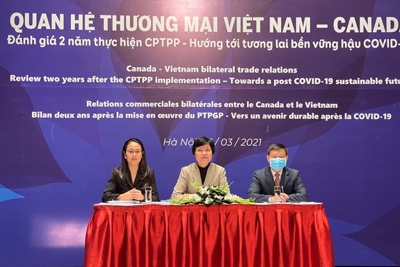 Thương mại song phương Việt Nam - Canada đạt 8,9 tỷ USD nhờ CPTPP