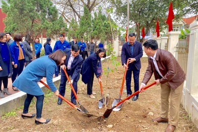 Huyện Sóc Sơn phấn đấu trồng 12.000 cây xanh dịp Xuân Tân Sửu 2021