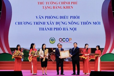 Phó Thủ tướng Trịnh Đình Dũng: Không chạy theo thành tích trong phát triển sản phẩm OCOP